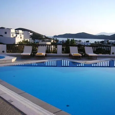 Golden Sun Chora (Ios)