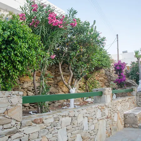 Golden Sun 4* Chora (Ios)